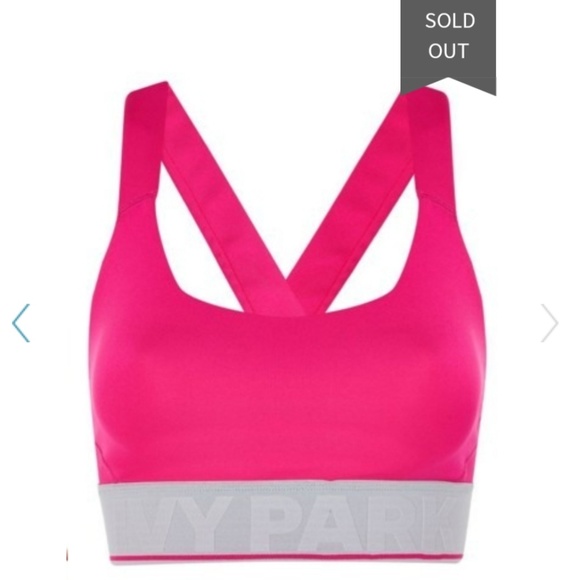🚫 SOLD 🚫 {Ivy Park} Logo Mesh Inset Sports Bra - Picture 3 of 4
